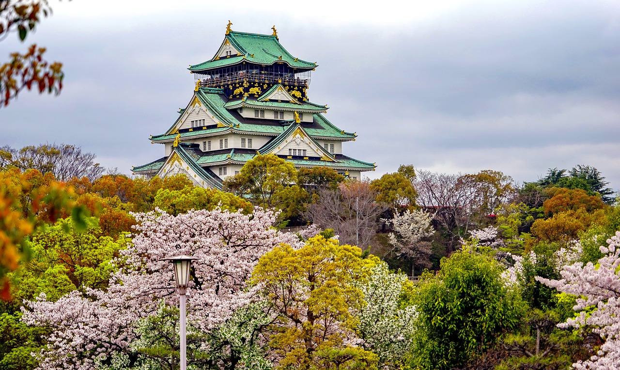 西城追寻梦想的起点：为何选择高考后去日本留学？
